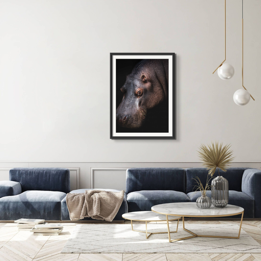 Hippo Portrait
