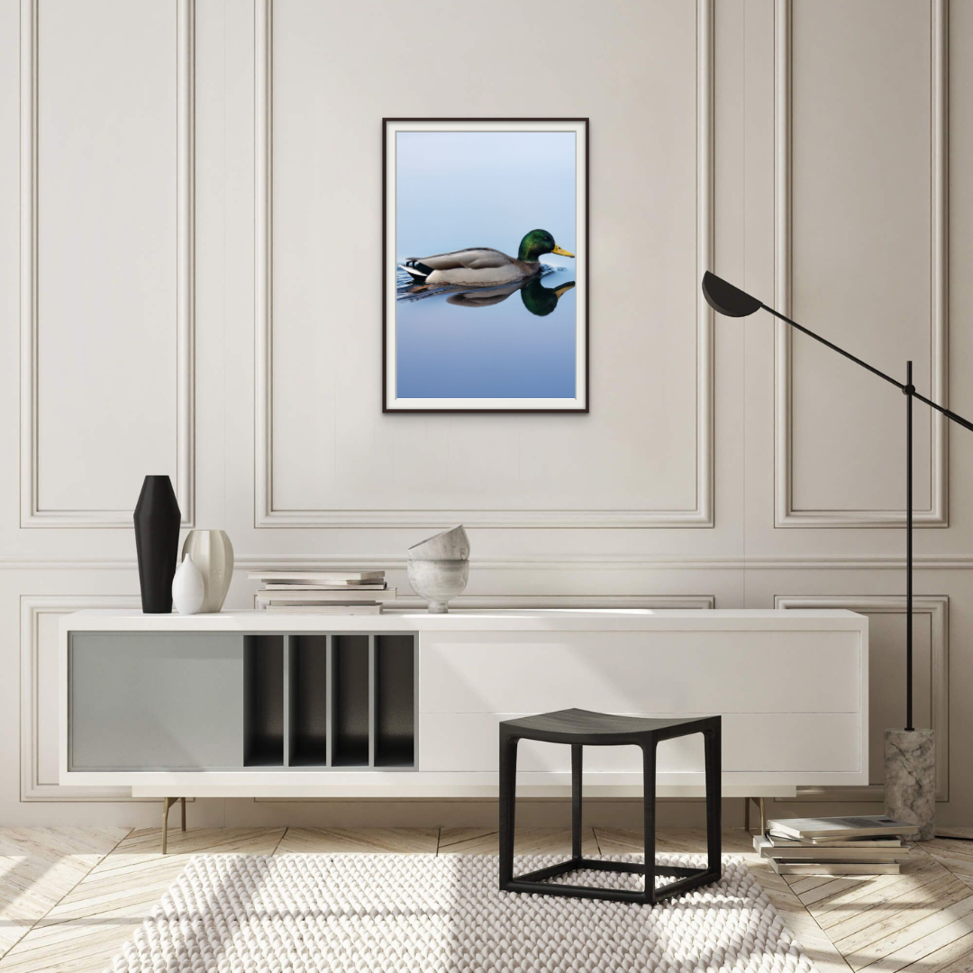 Swimming on Glass