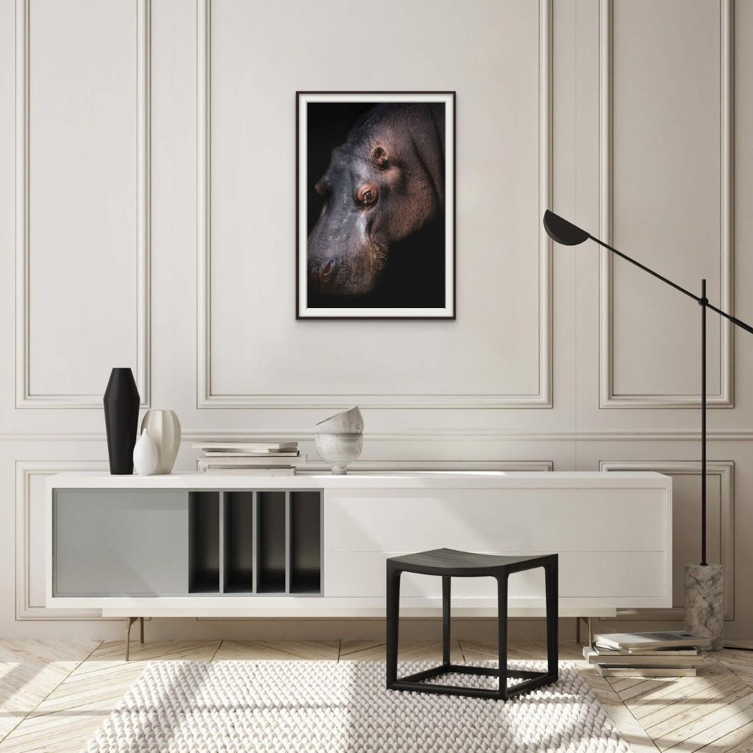 Hippo Portrait