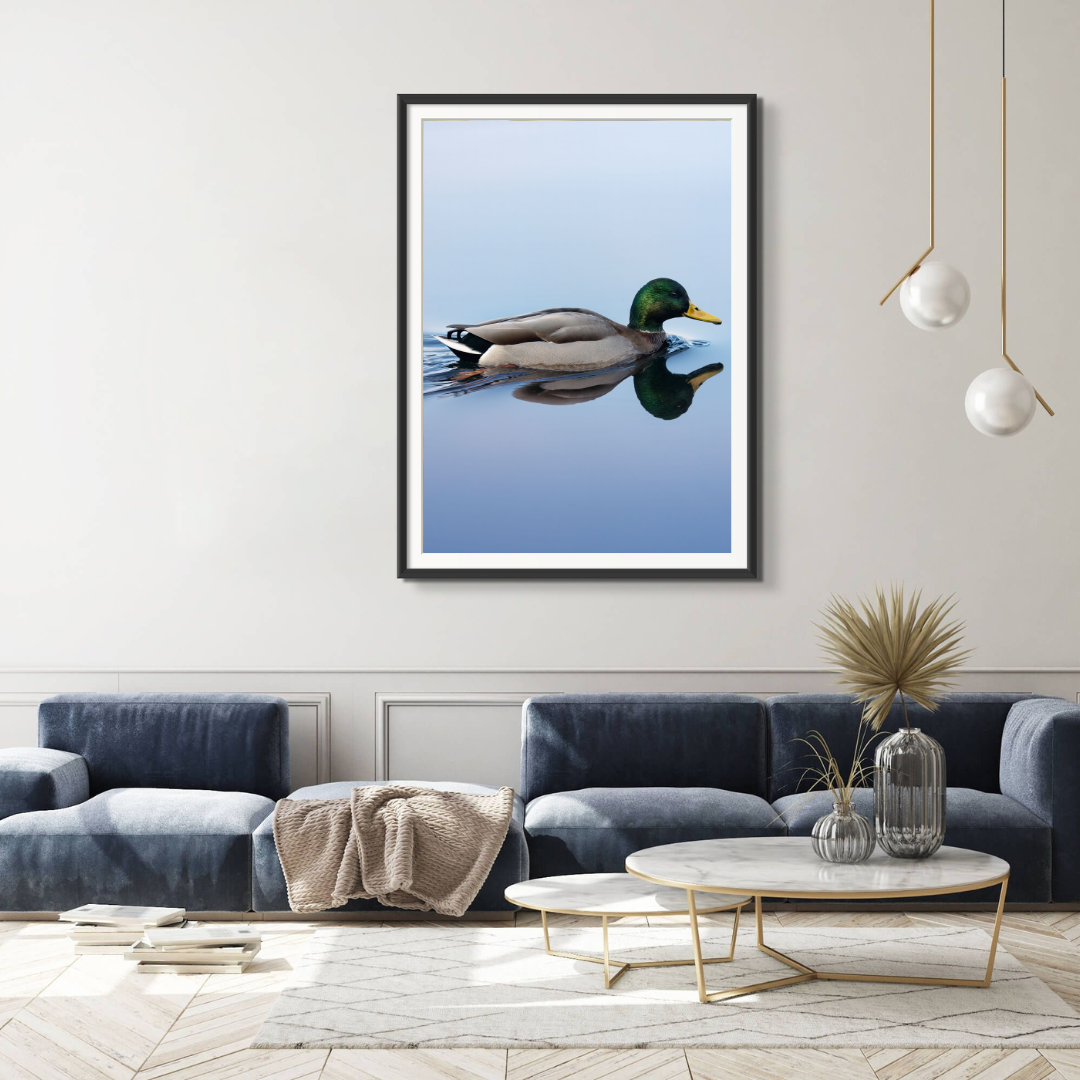 Swimming on Glass