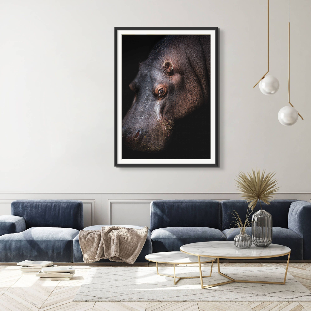 Hippo Portrait