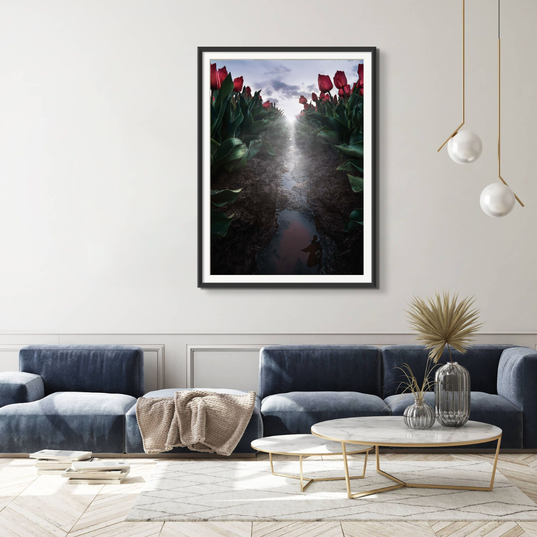 Forest of the Tulips