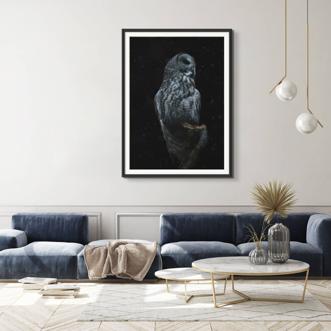Perched in Silence